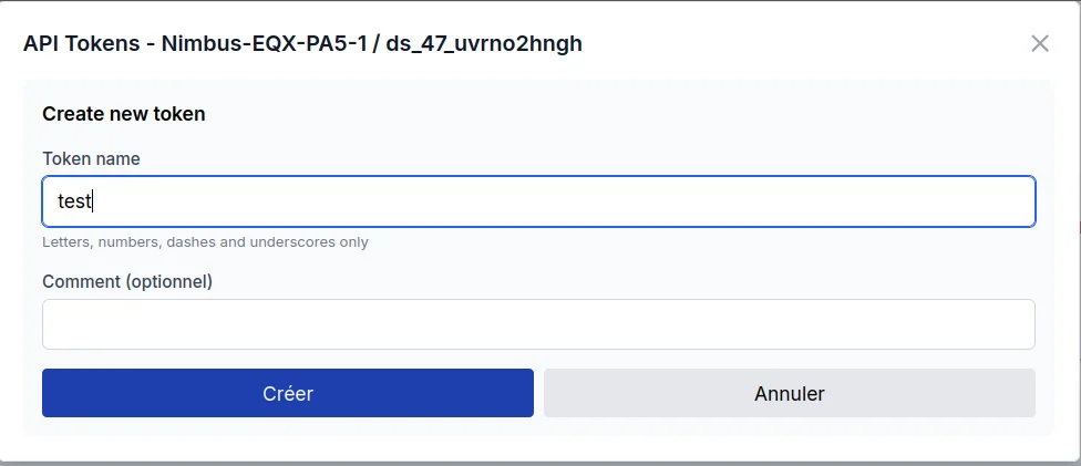 Formulaire avec champs Token name et Comment